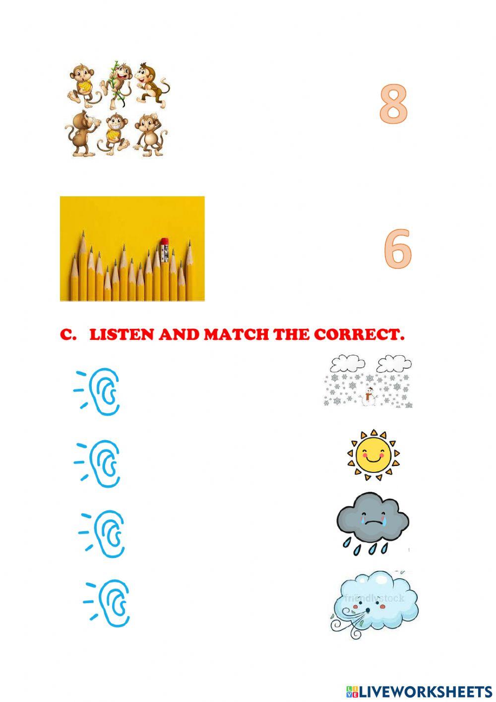 English Quimestral Test