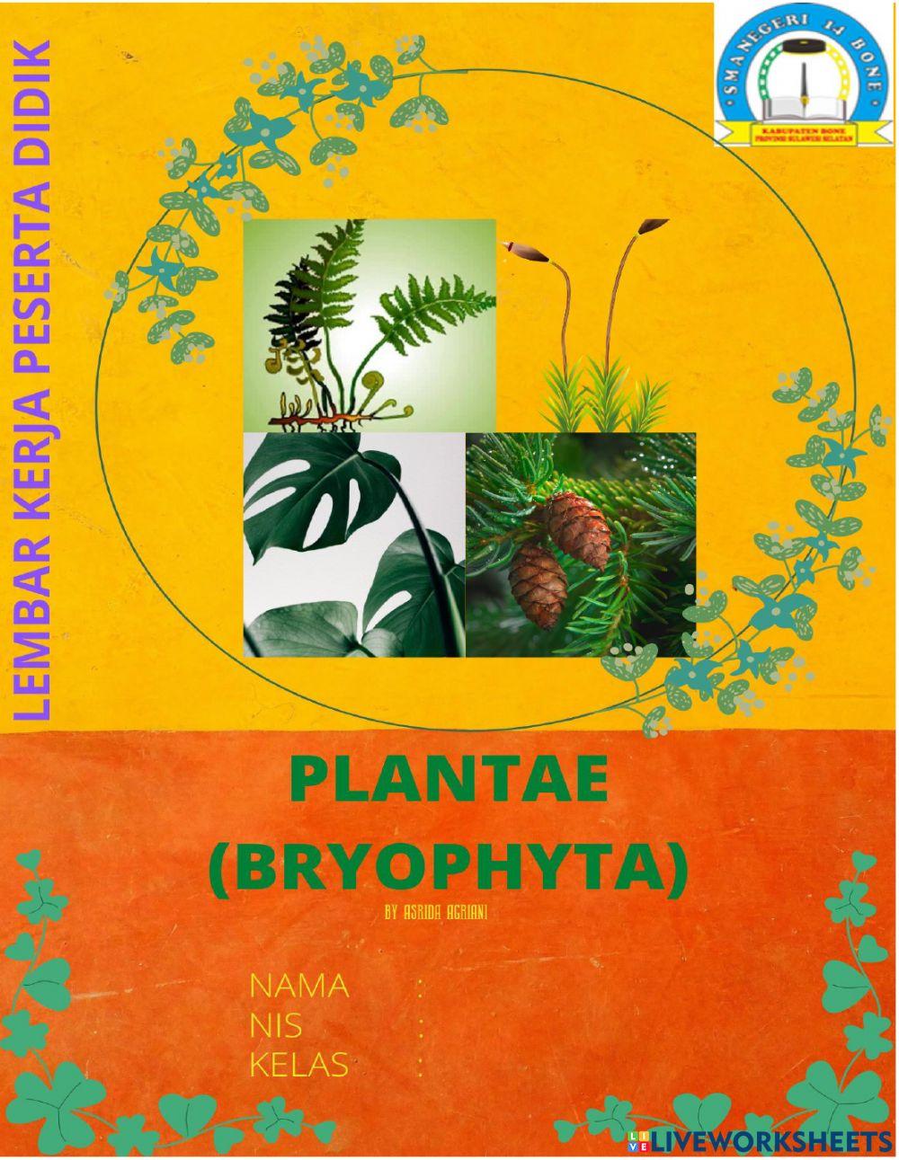 Lkpd viii. plantae (bryophyta)