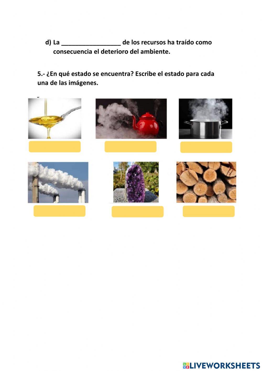 Examen 2do quimestre ciencias naturales