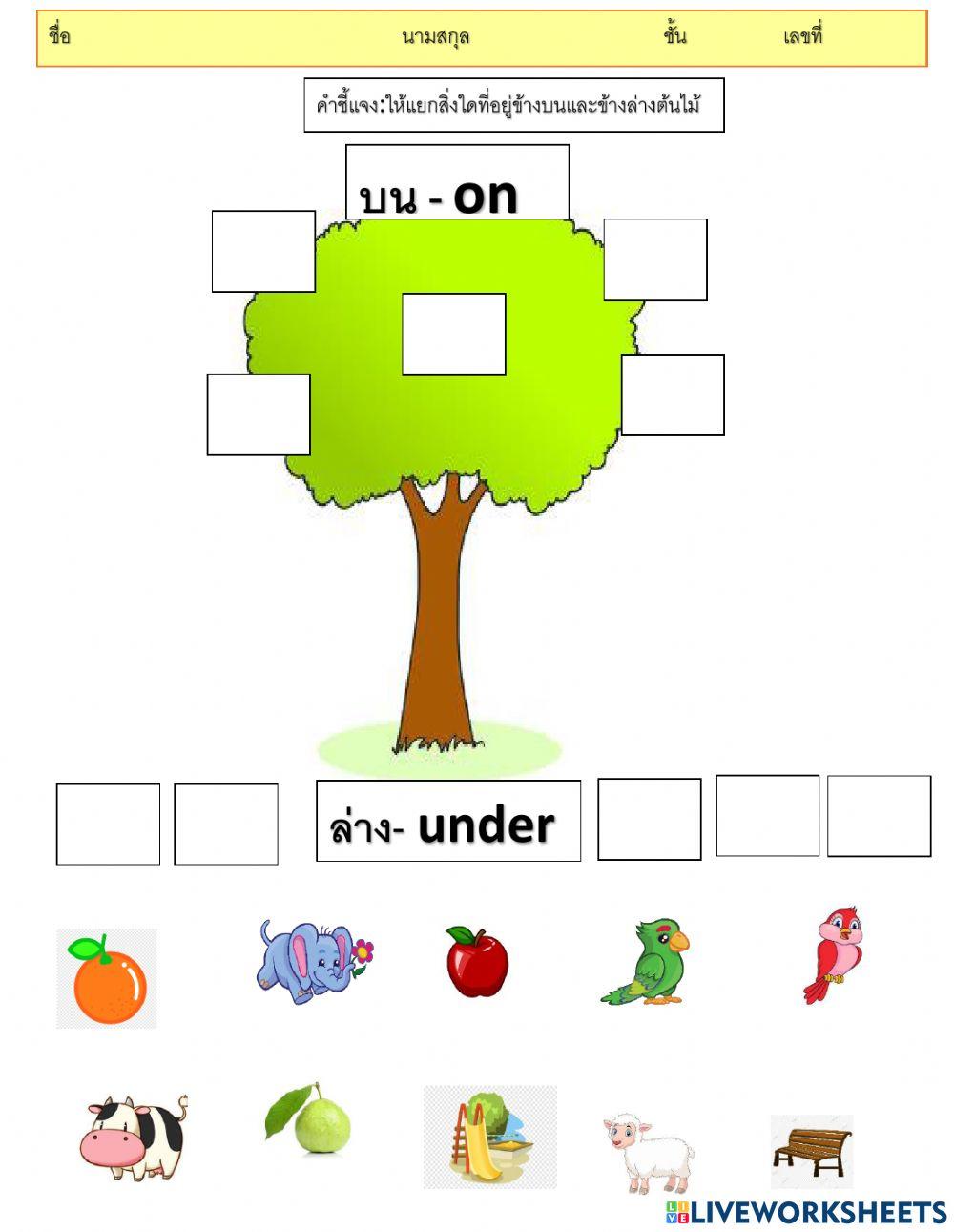 ใบงานการบอกต่ำแหน่ง ข้างบน-ข้างล่าง