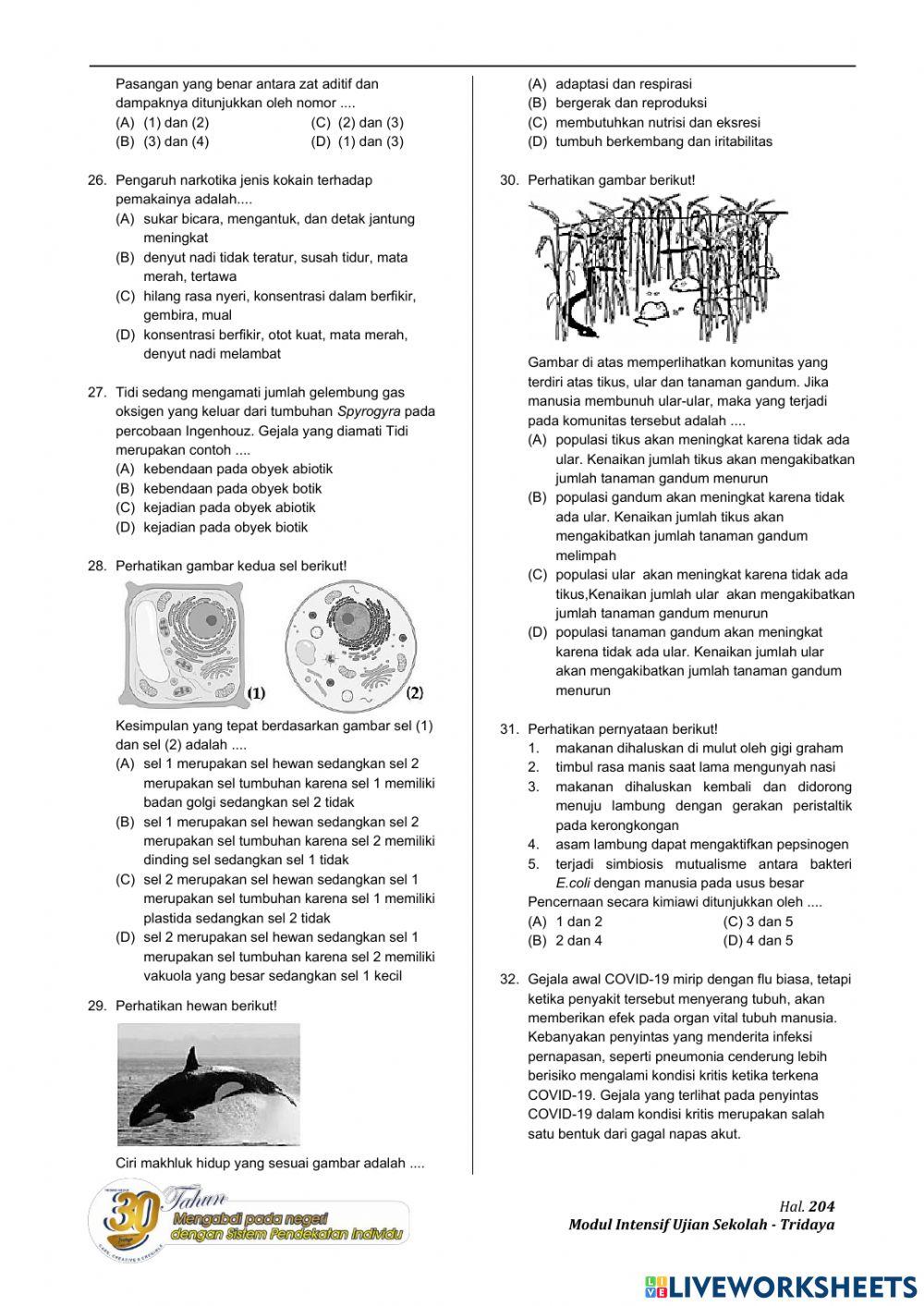 Evaluasi ipa tap us 5