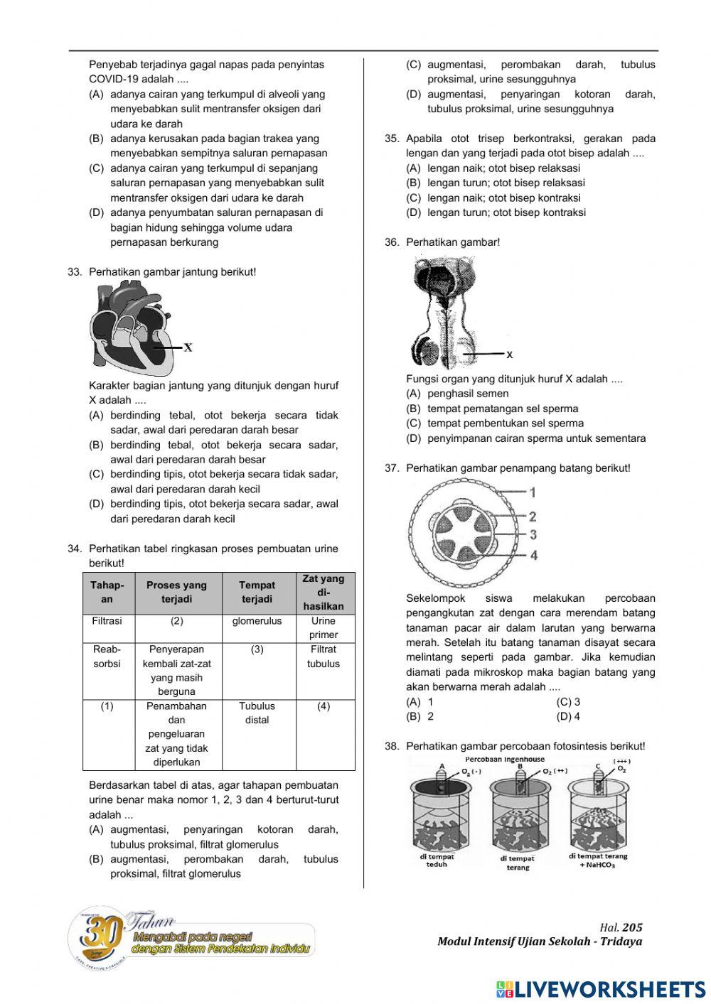 Evaluasi ipa tap us 5
