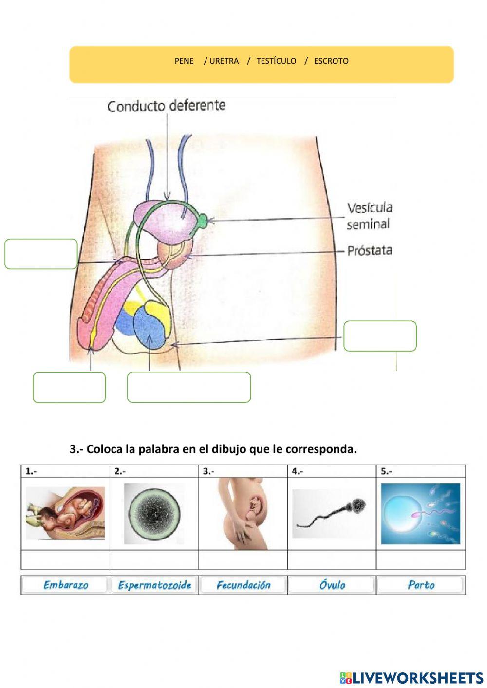 EXAMEN CIENCAS Naturales