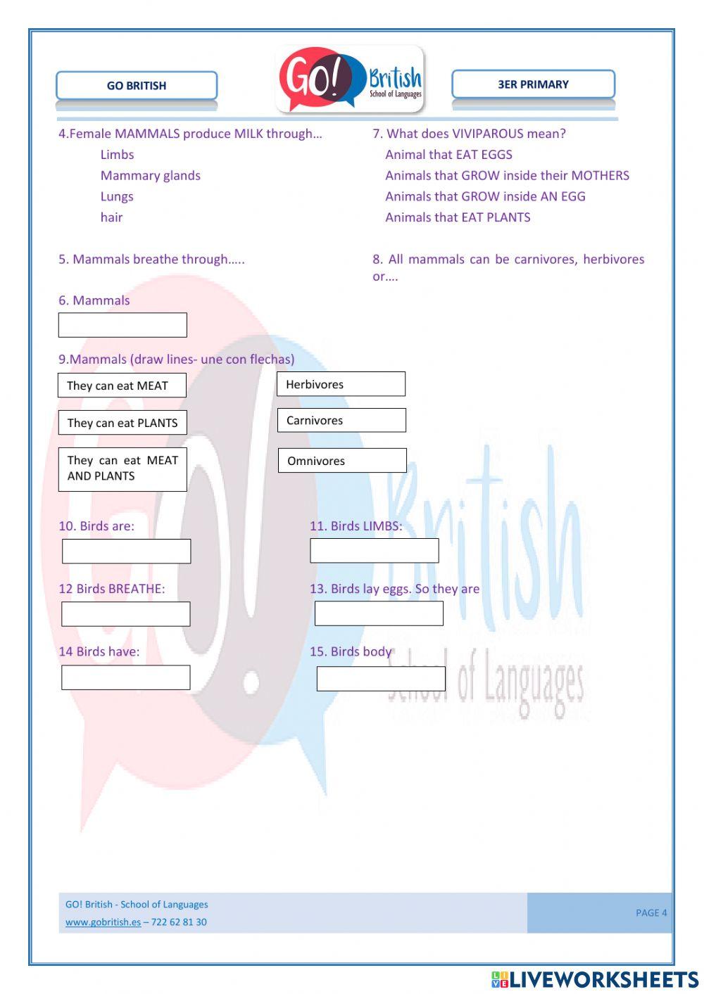 Vertebrates e invertebrates. Mammals- birds