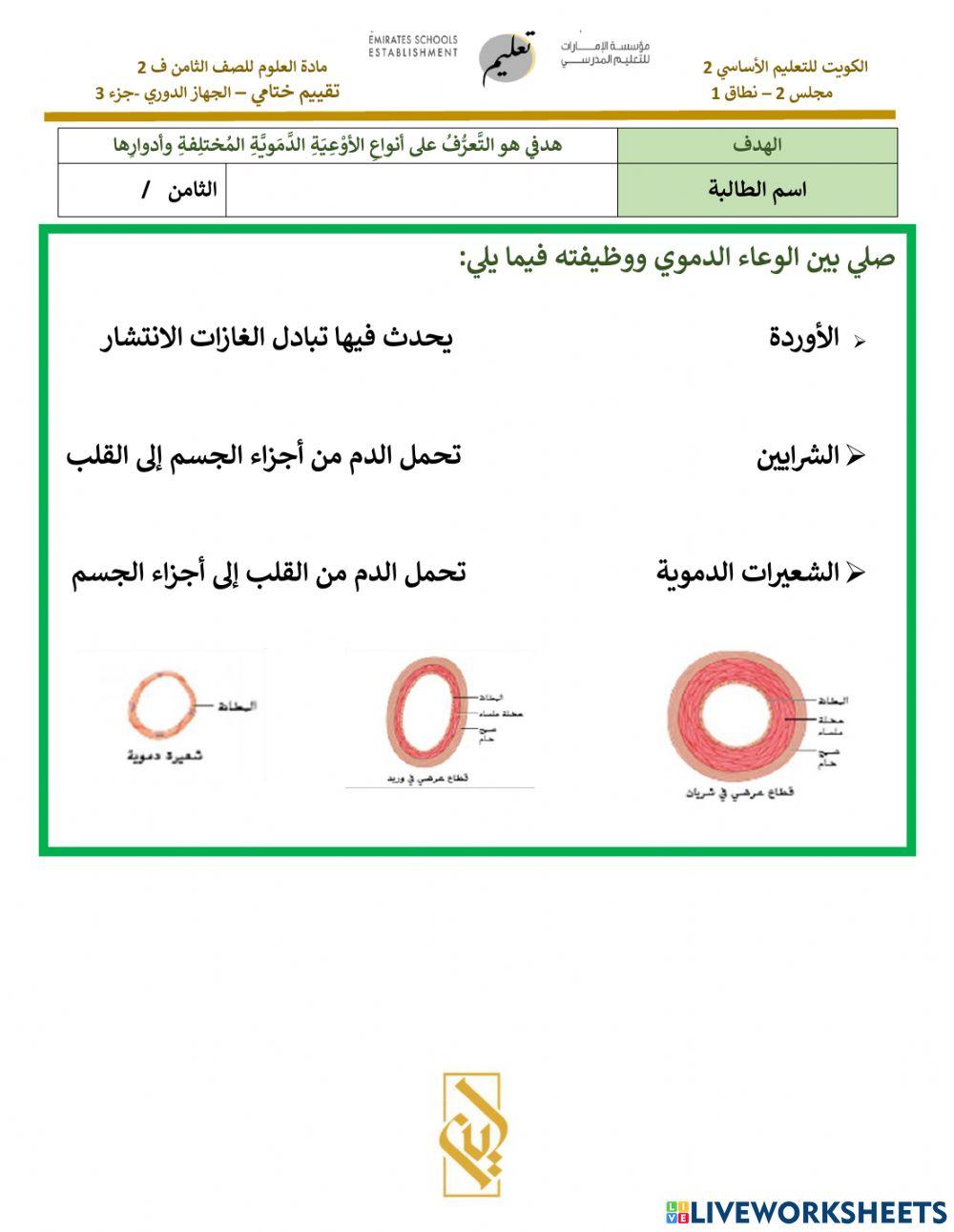 انواع الاوعية الدموية