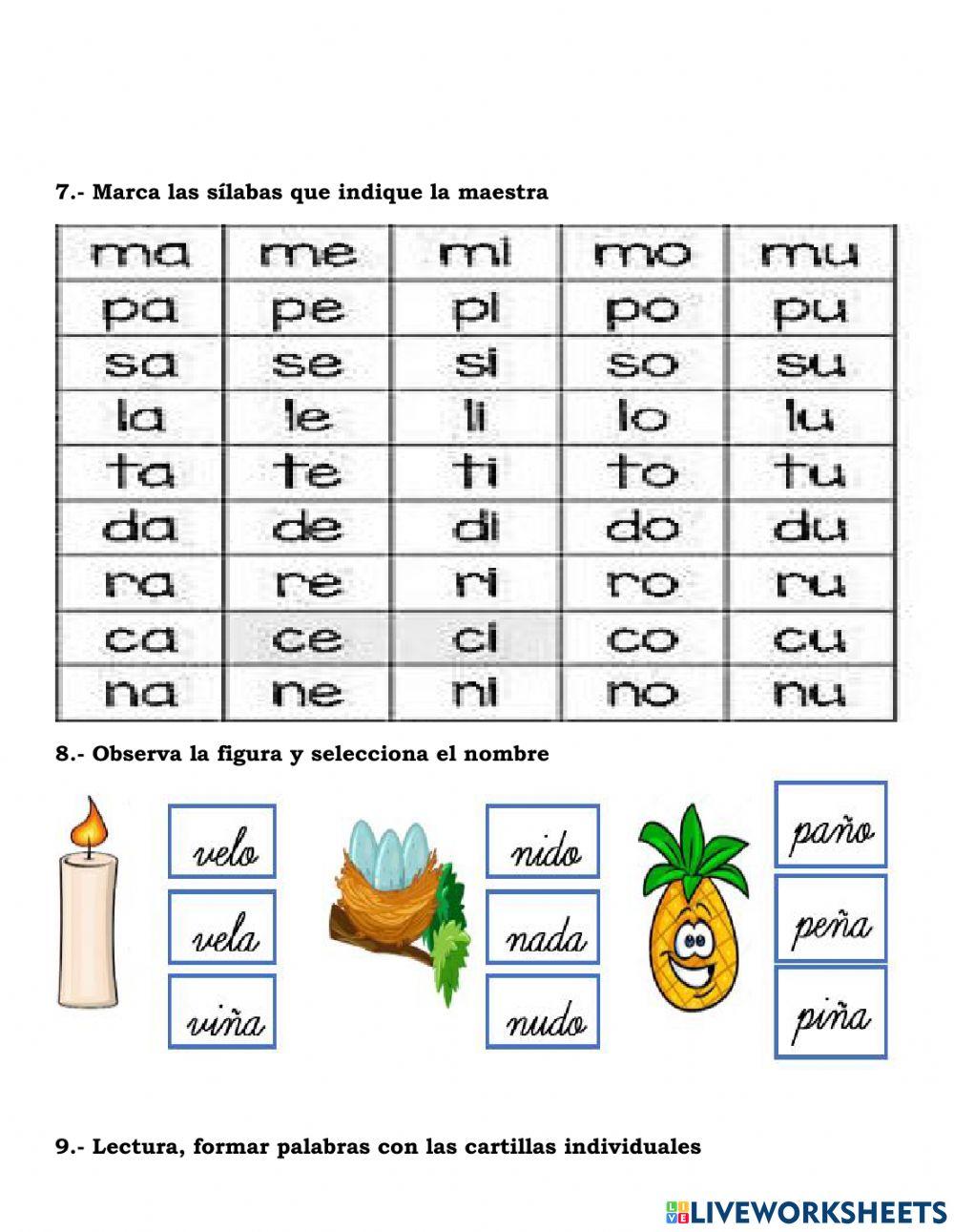Evaluaciones quimestrales