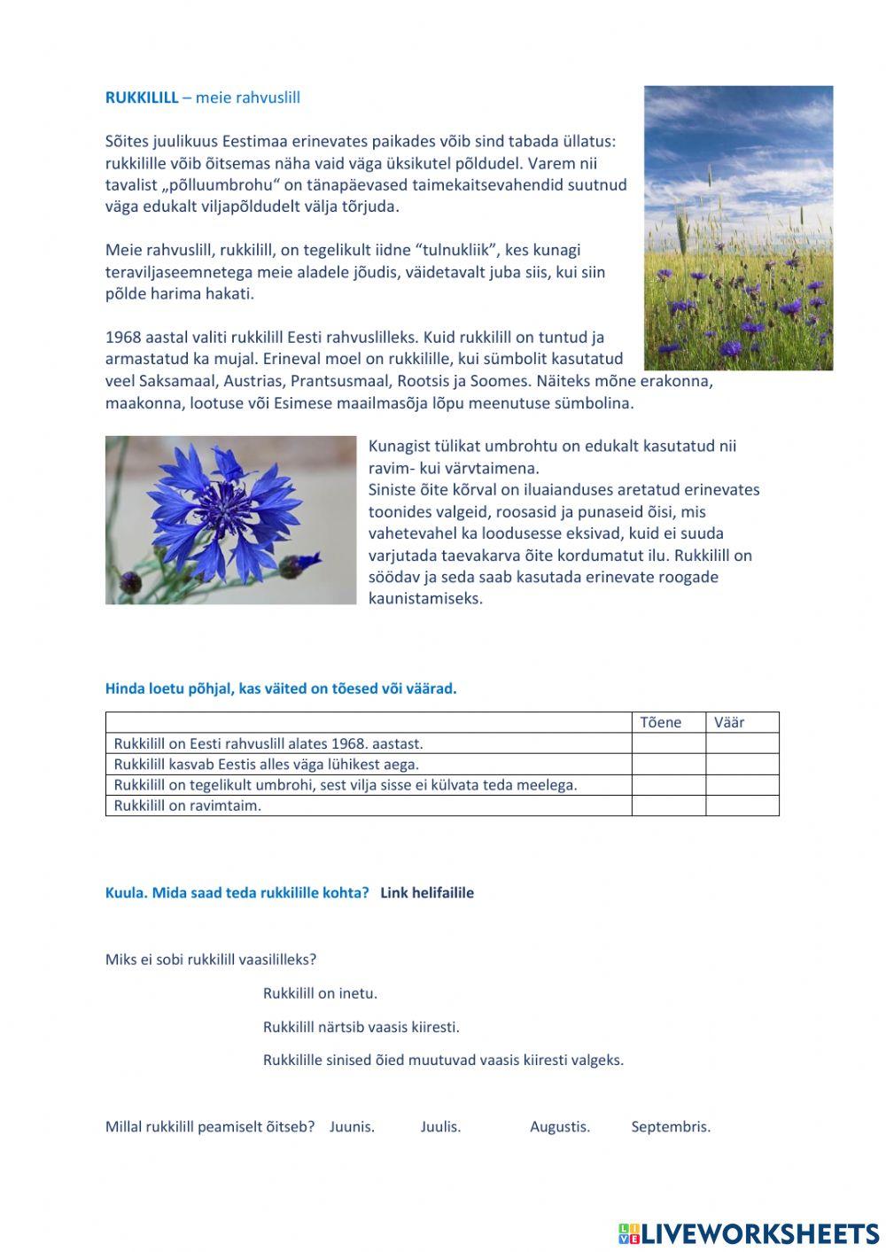 Rukkilill - meie rahvuslill. Lugemis- ja kuulamisülesanne 3. või 4. klassile