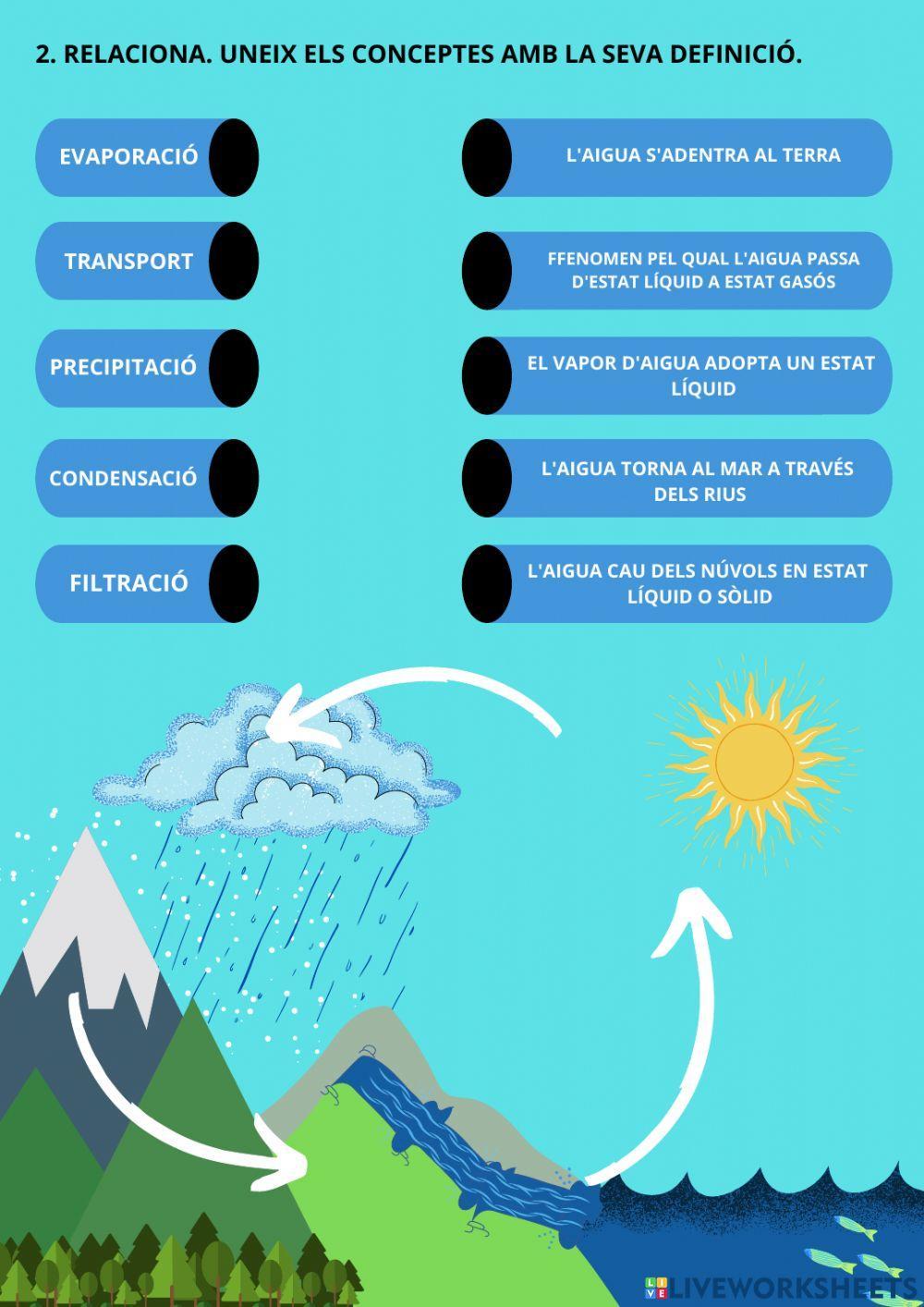 Cicle del aigua (en majúscules)