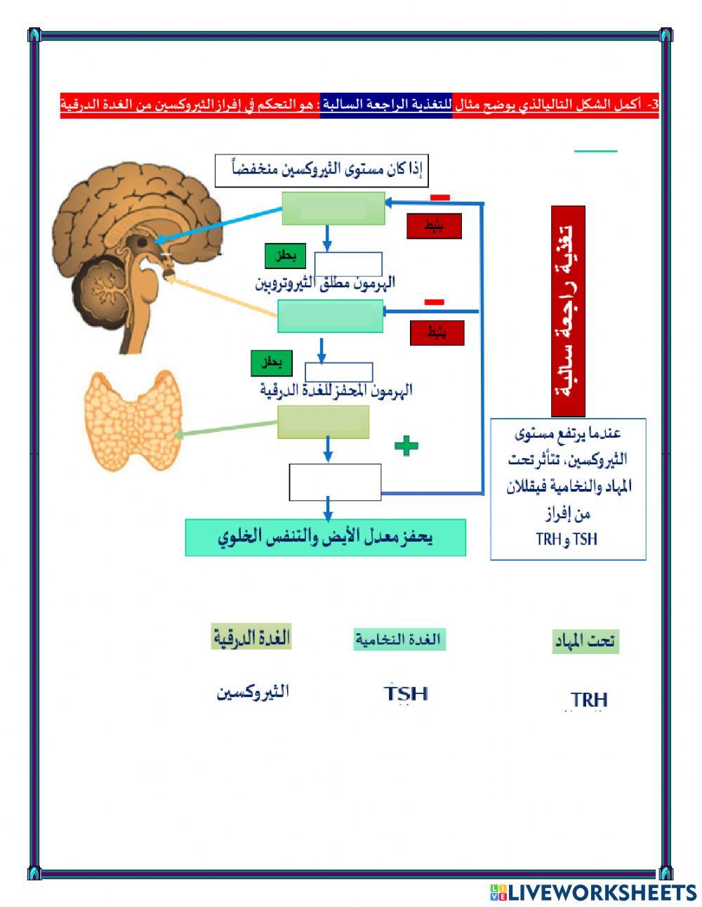 غلق درس حلقات التغذية الراجعة