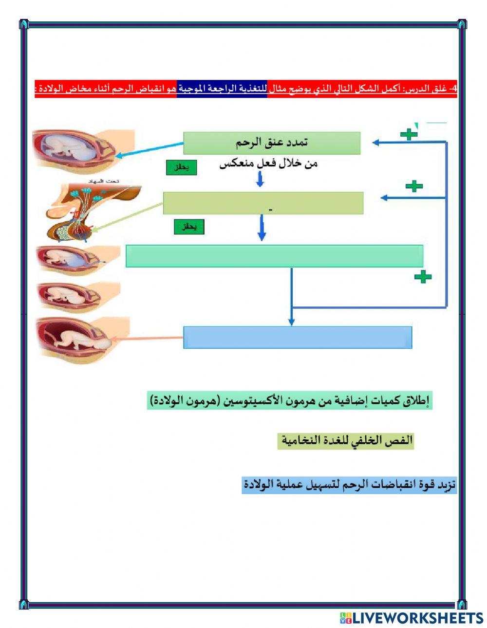 غلق درس حلقات التغذية الراجعة