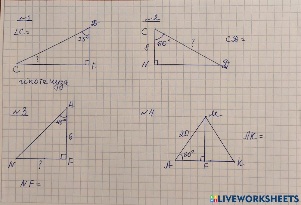 Прямокутний трикутник