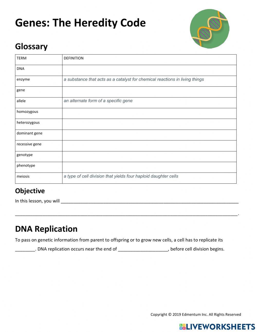 Genes: The Heredity Code Guided Notes