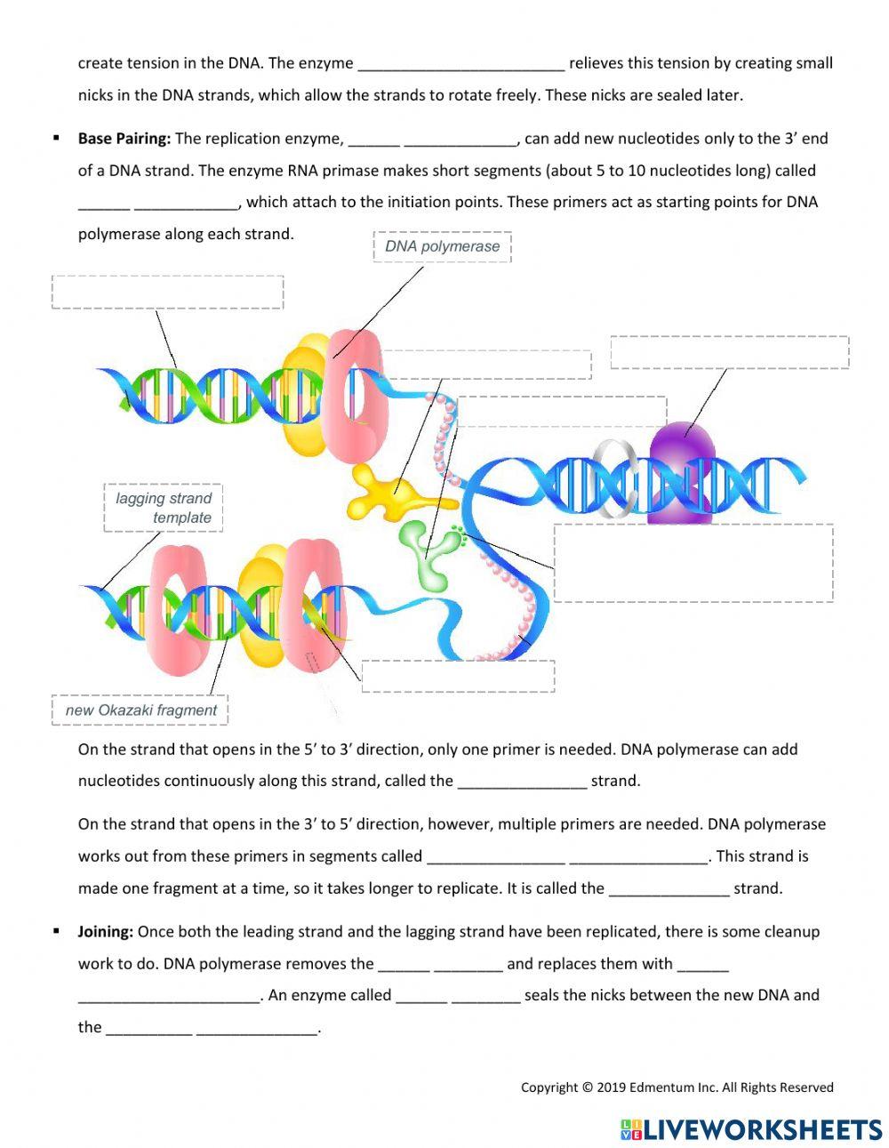 Genes: The Heredity Code Guided Notes