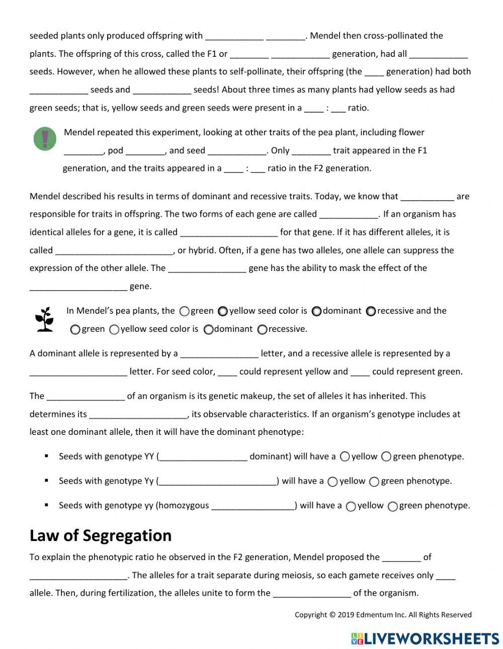 Genes: The Heredity Code Guided Notes
