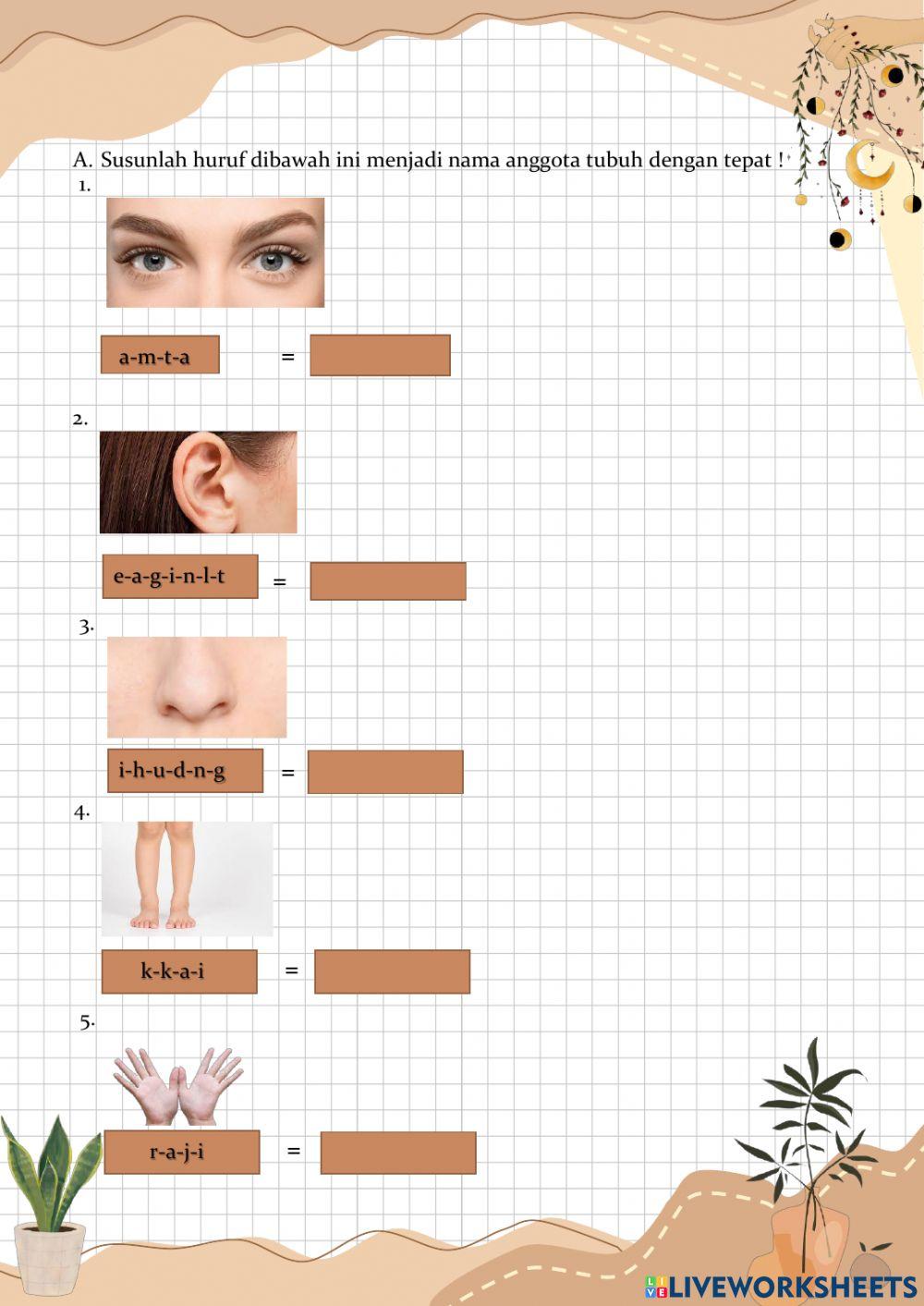LKPD 1 , Kelas 1, Tema 1 Subtema 2, Pembelajaran 5