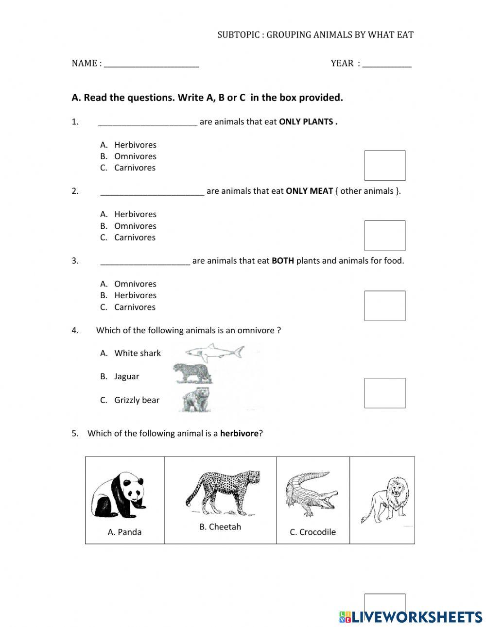 Year 3 live worksheets - Grouping animals by what they eat 