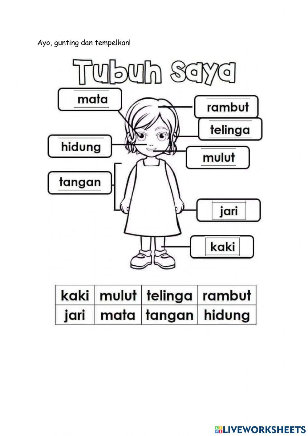 23 februari 2022 rafif rasyid