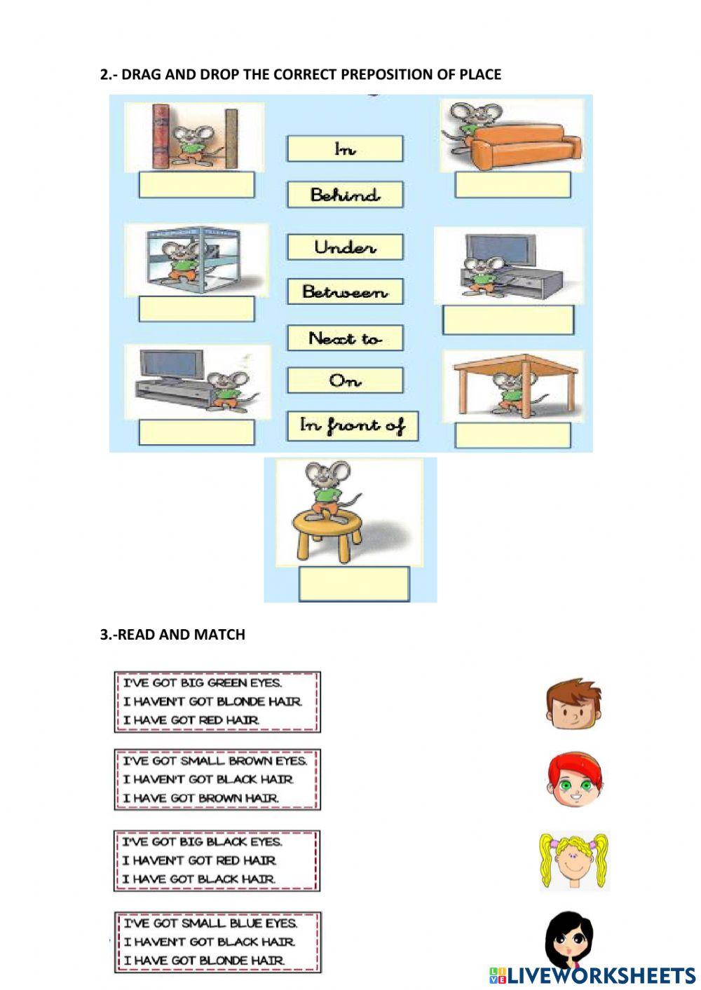 Examen del 2ºquimestre 3º basic