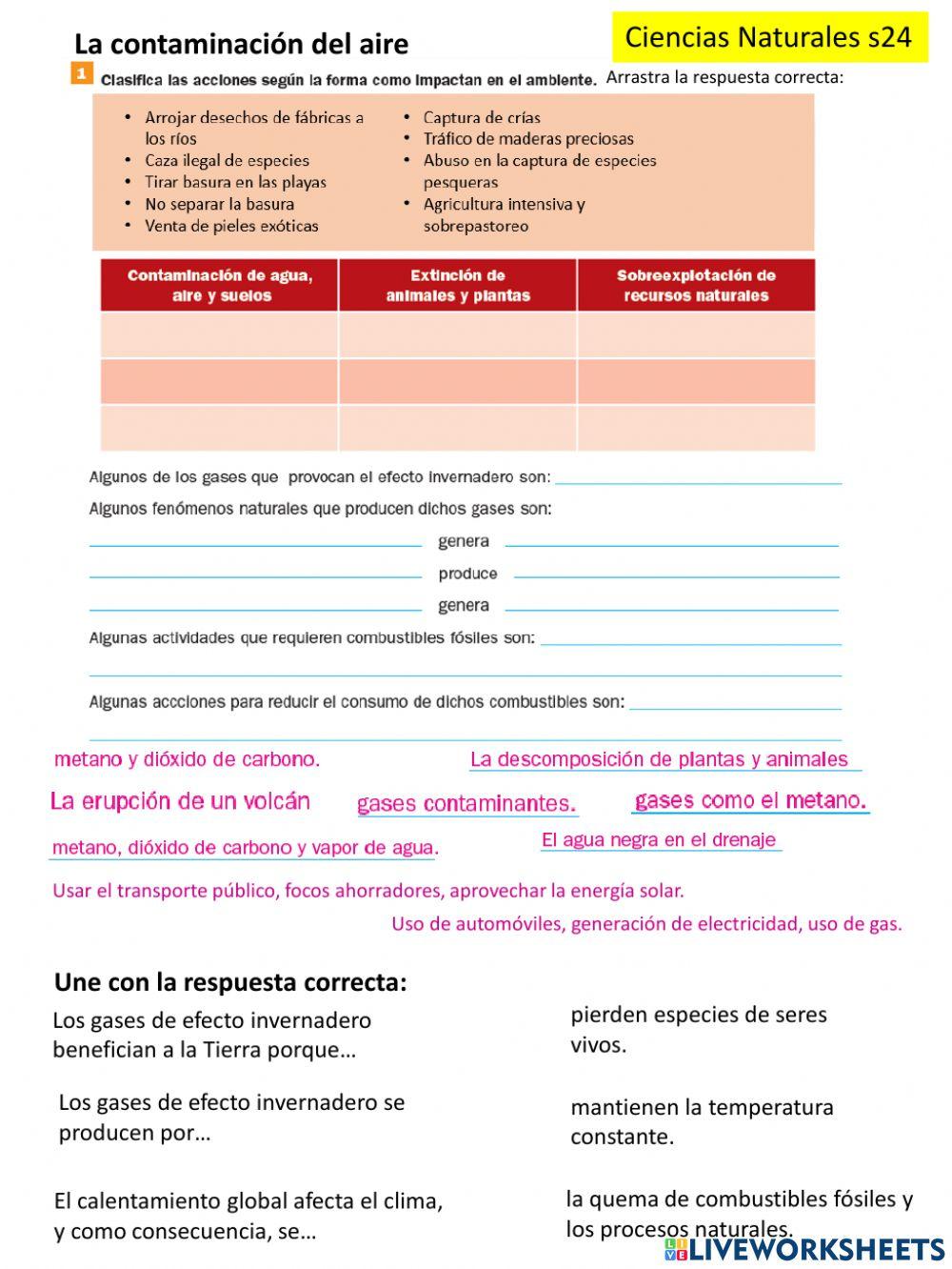 La contaminación del aire