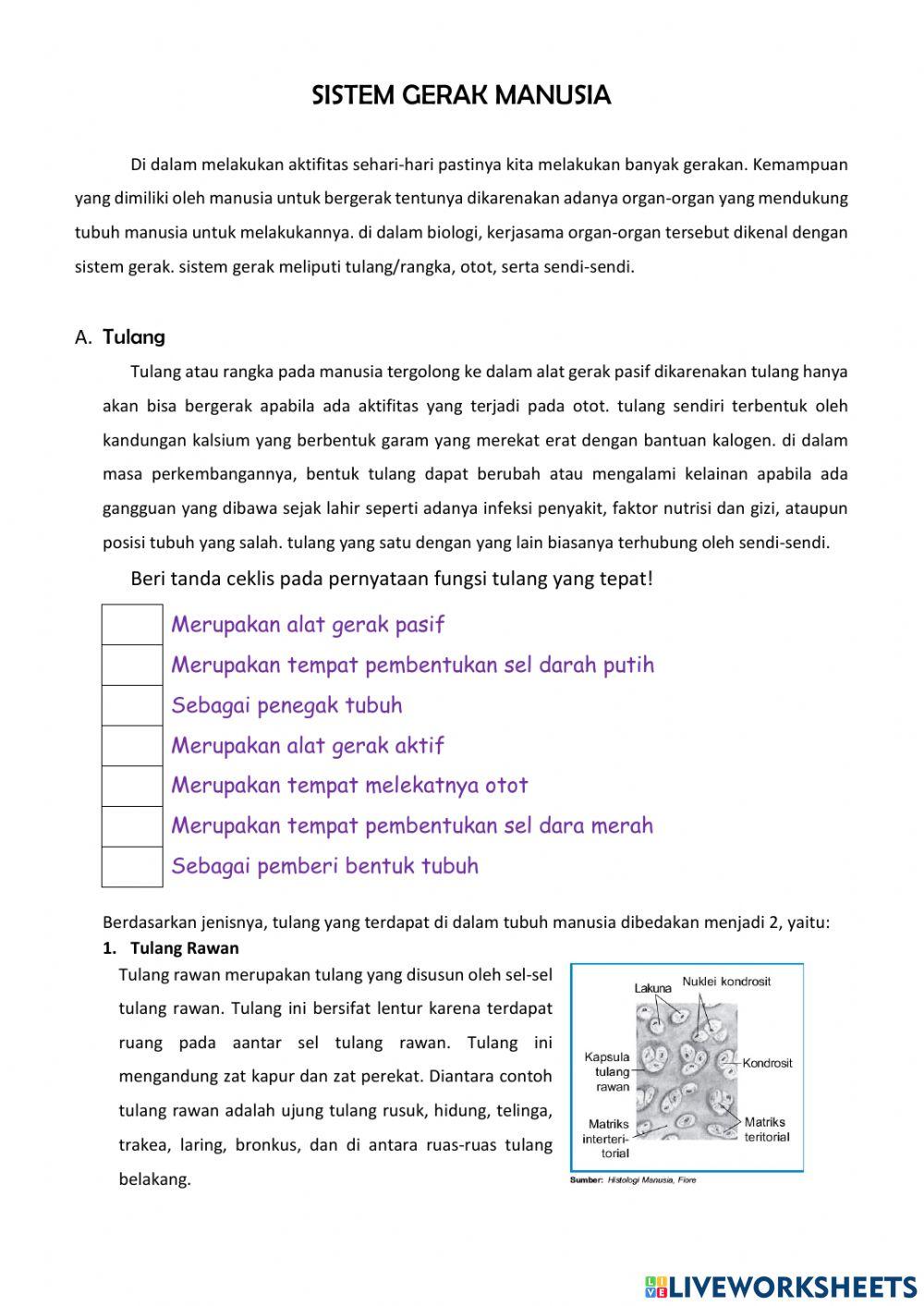 E-worksheet sistem Gerak part 1