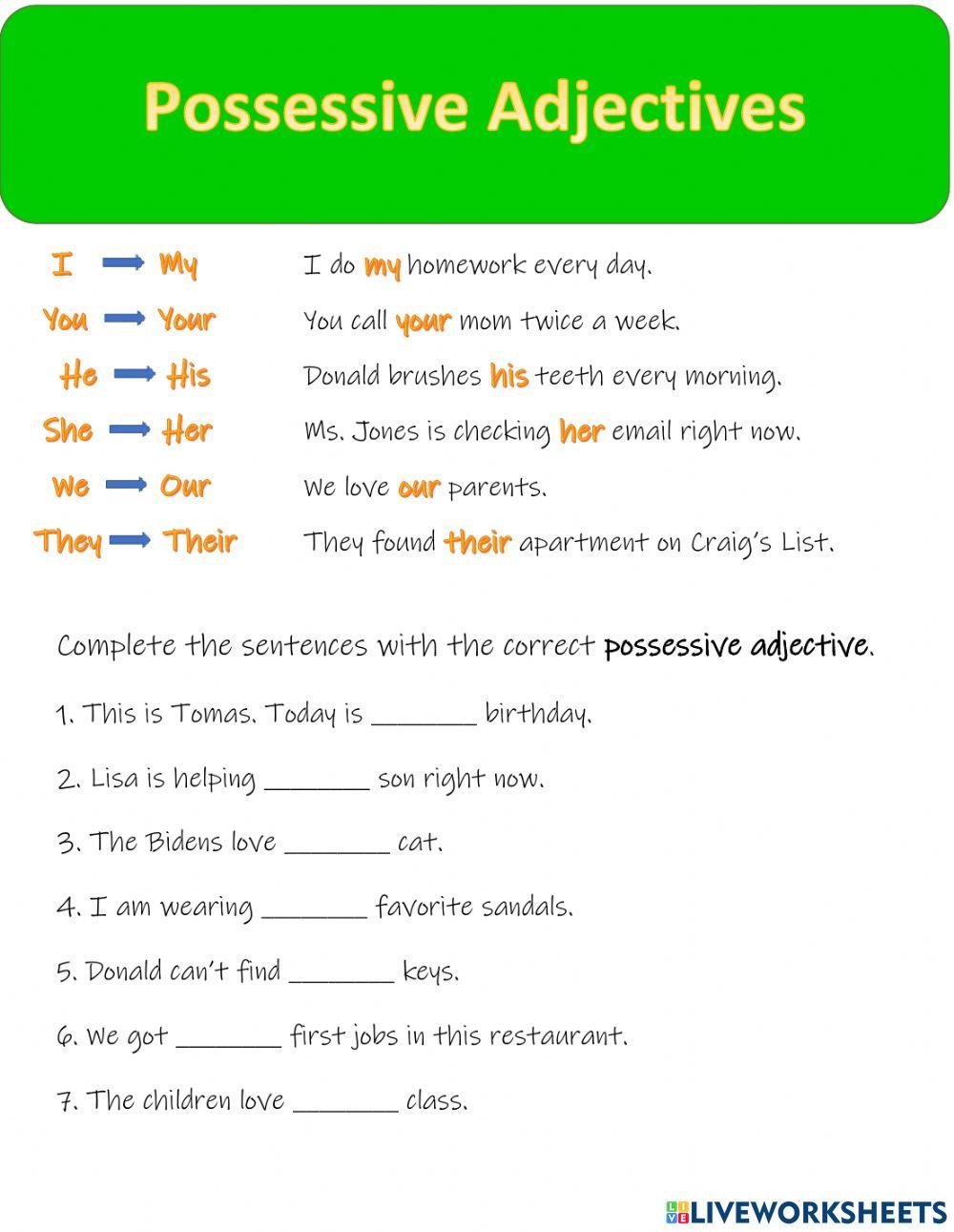 Possessive Adjectives