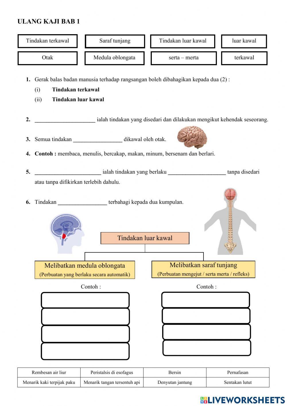 Latihan ulang kaji bab 1 t3