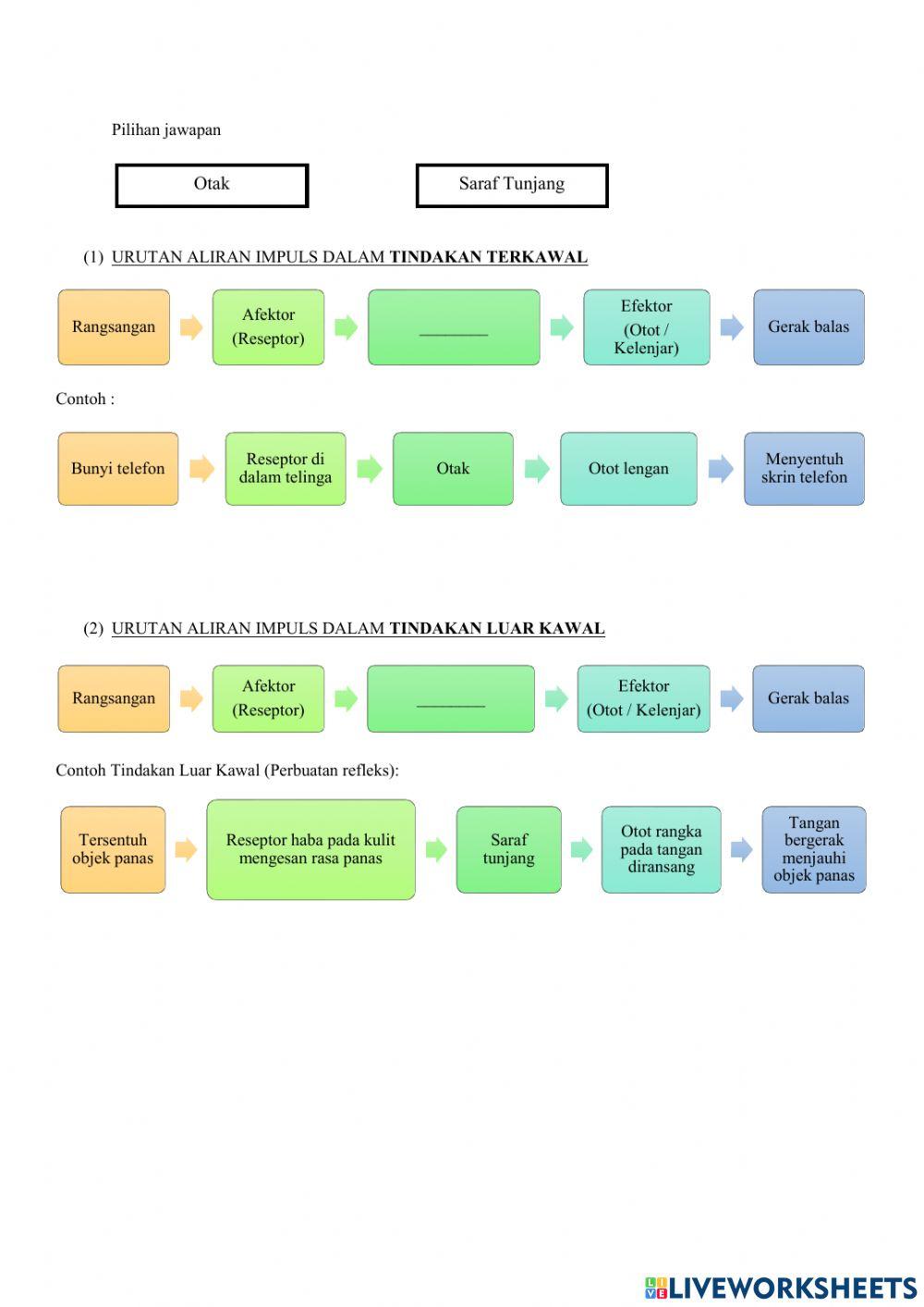 Latihan ulang kaji bab 1 t3