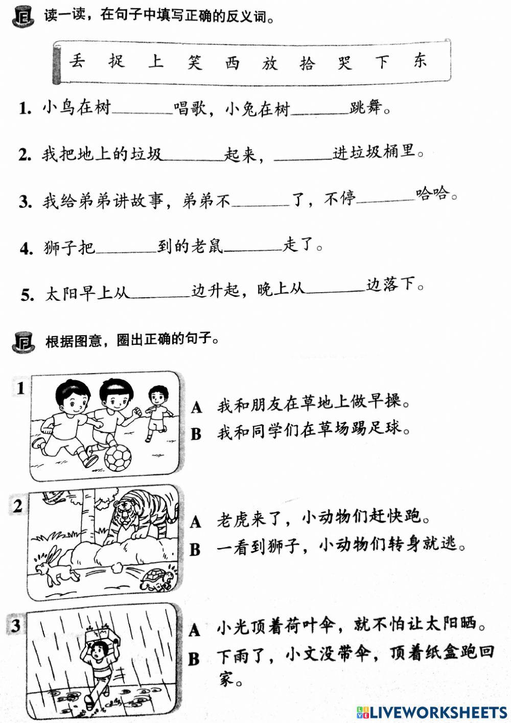 华文 一年级 复习