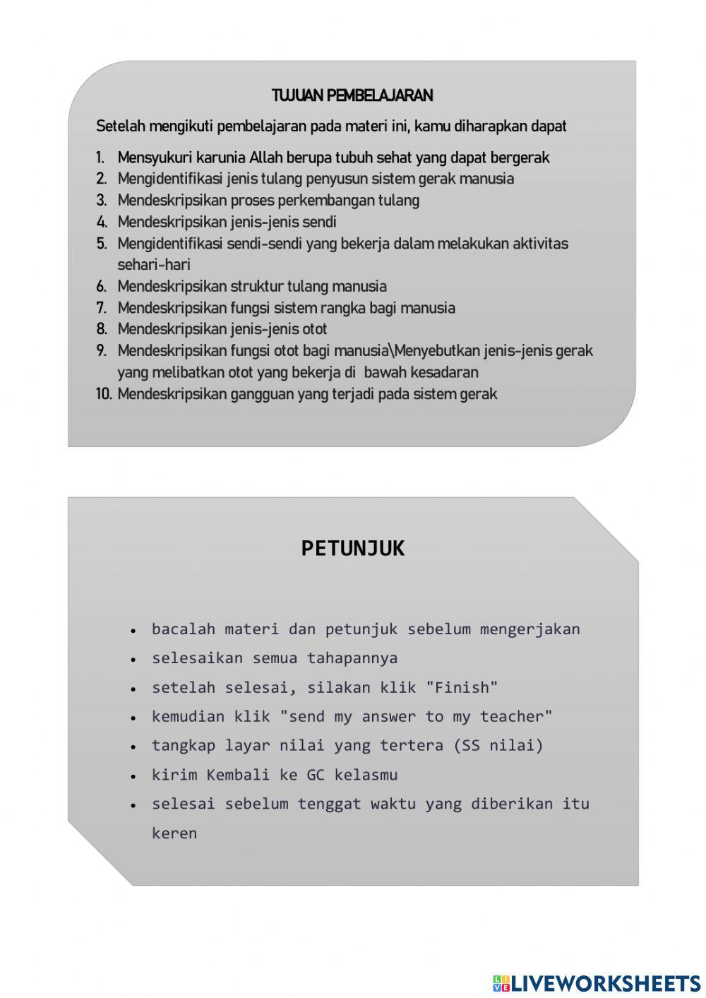 E-worksheet sistem gerak part 2