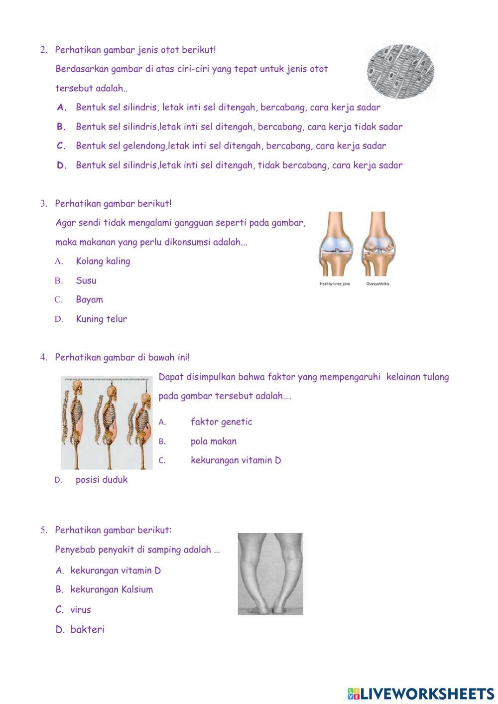 E-worksheet sistem gerak part 2