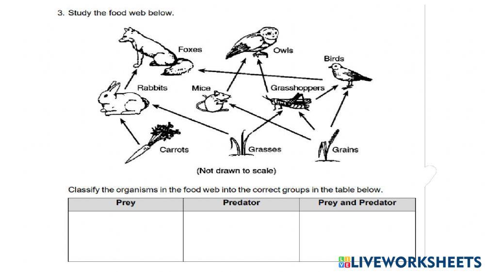 Nitrogen cycle