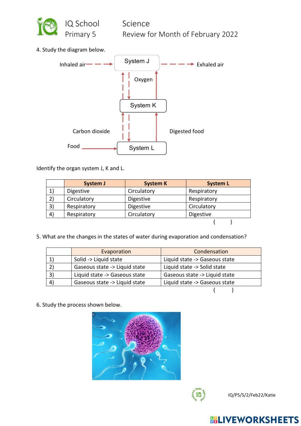 5E1 Science Monthly Review 2022