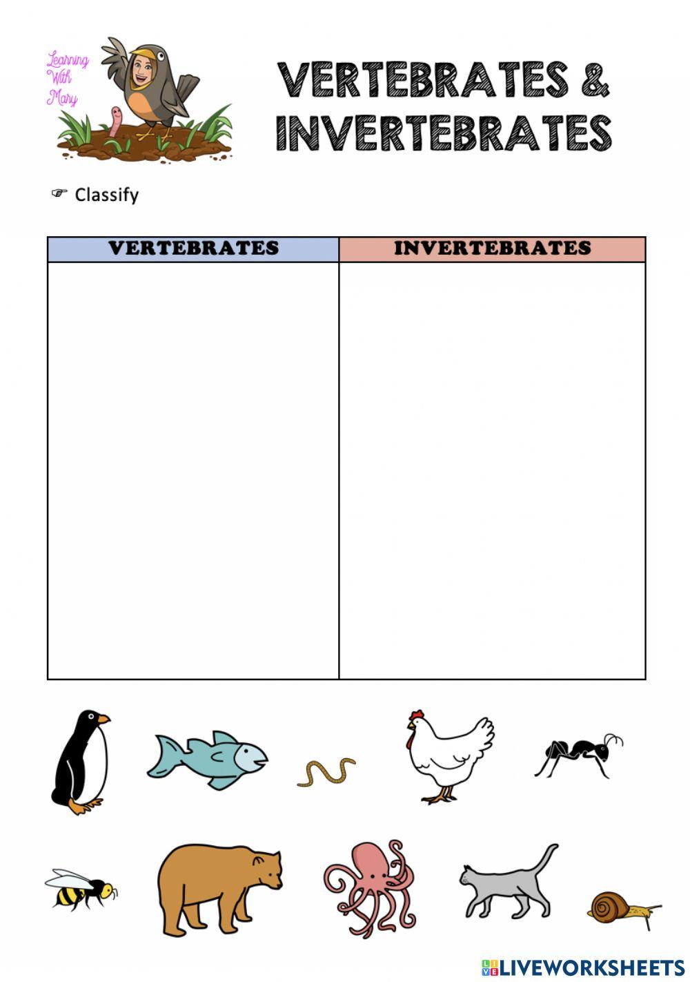 Vertebrates or invertebrates