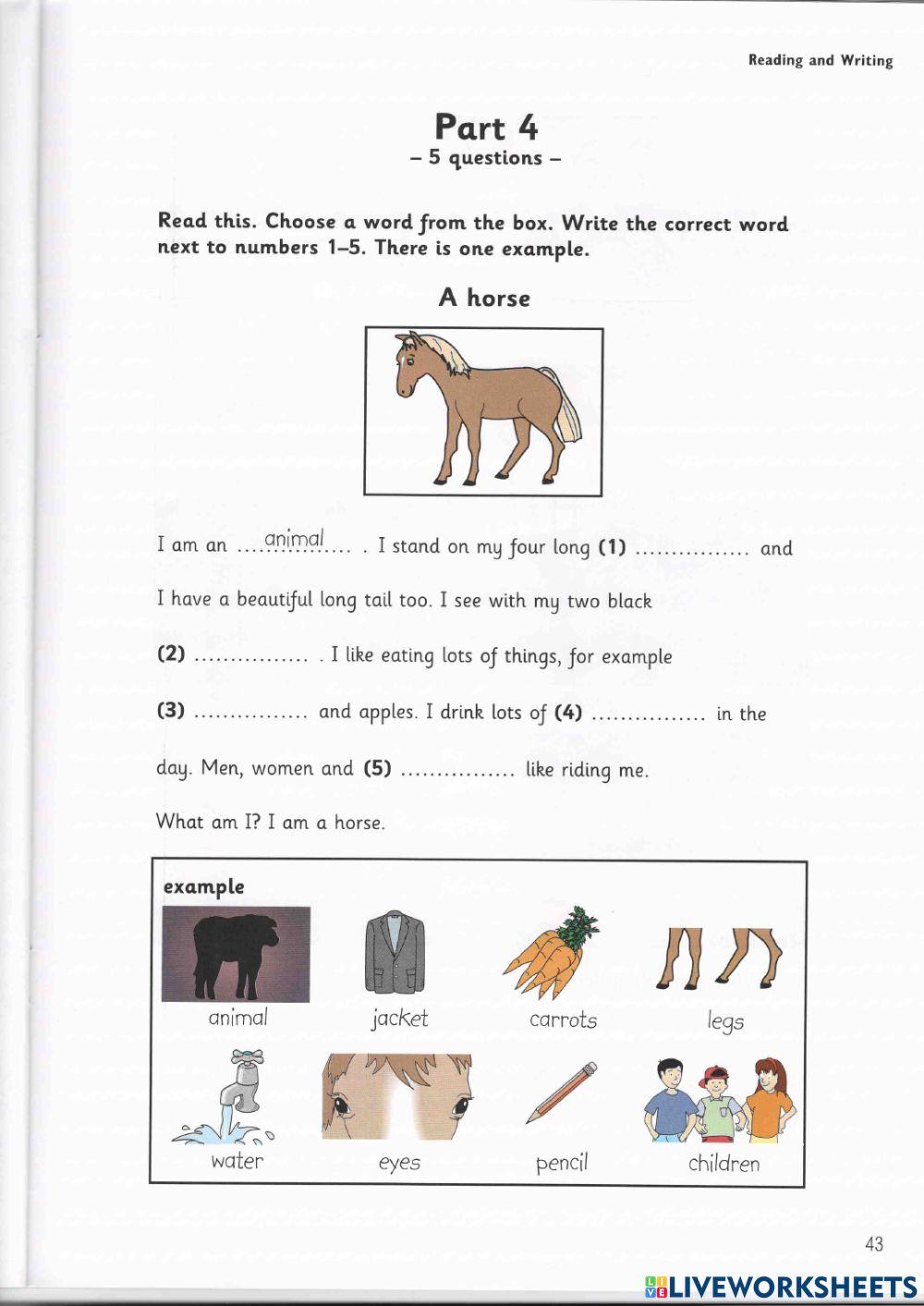 Starters Practice Reading - Writing Test 3