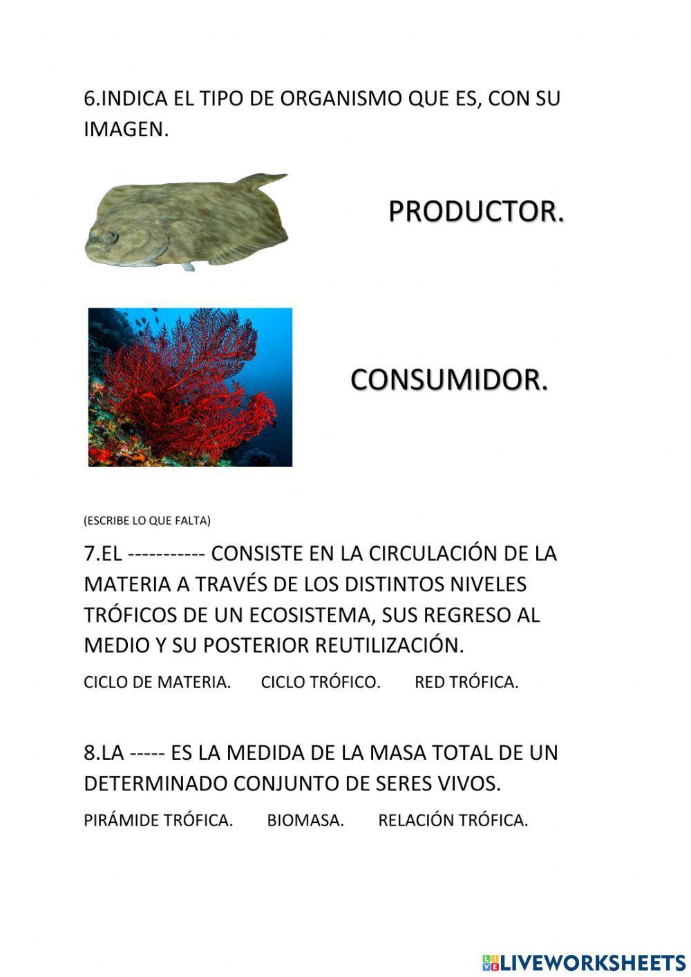 La dinámica de los ecosistemas.