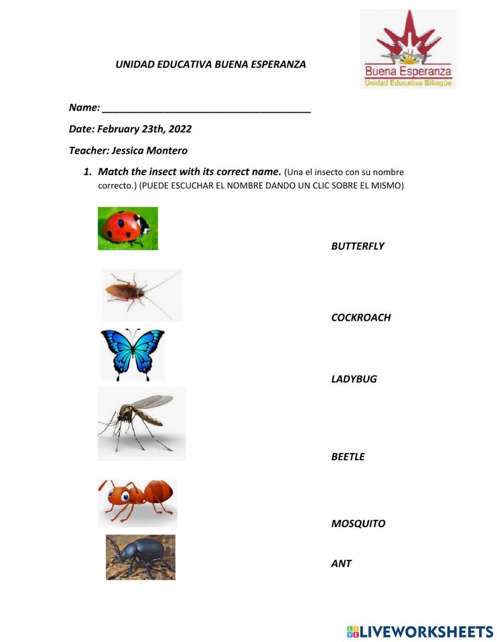 FEBRUARY THIRD GRADE