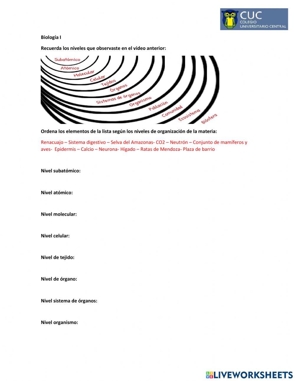 Niveles de organización