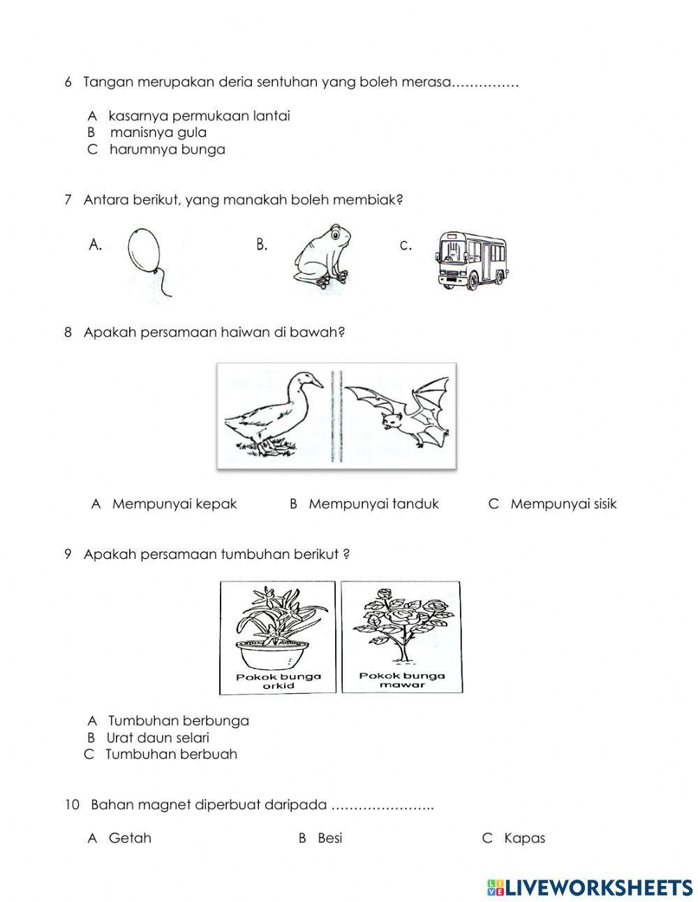 Pentaksiran setara standard sains tahun 1