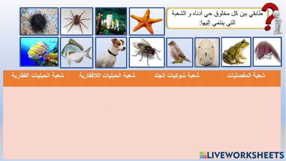 المملكة الحيوانية