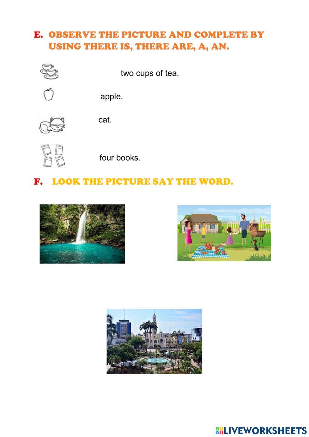 Quimestral 2 English Test