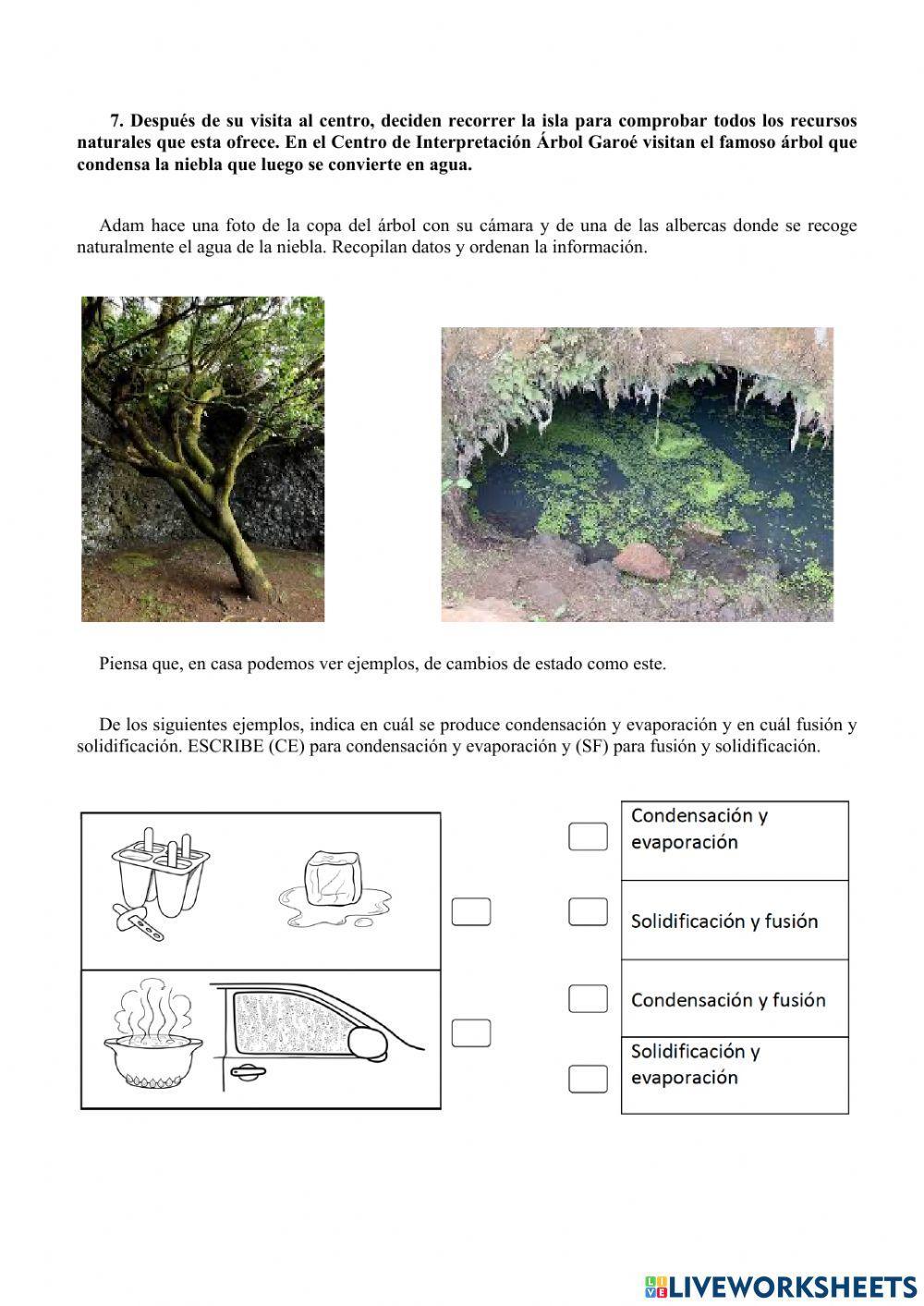 CT-de viaje a la isla sostenible