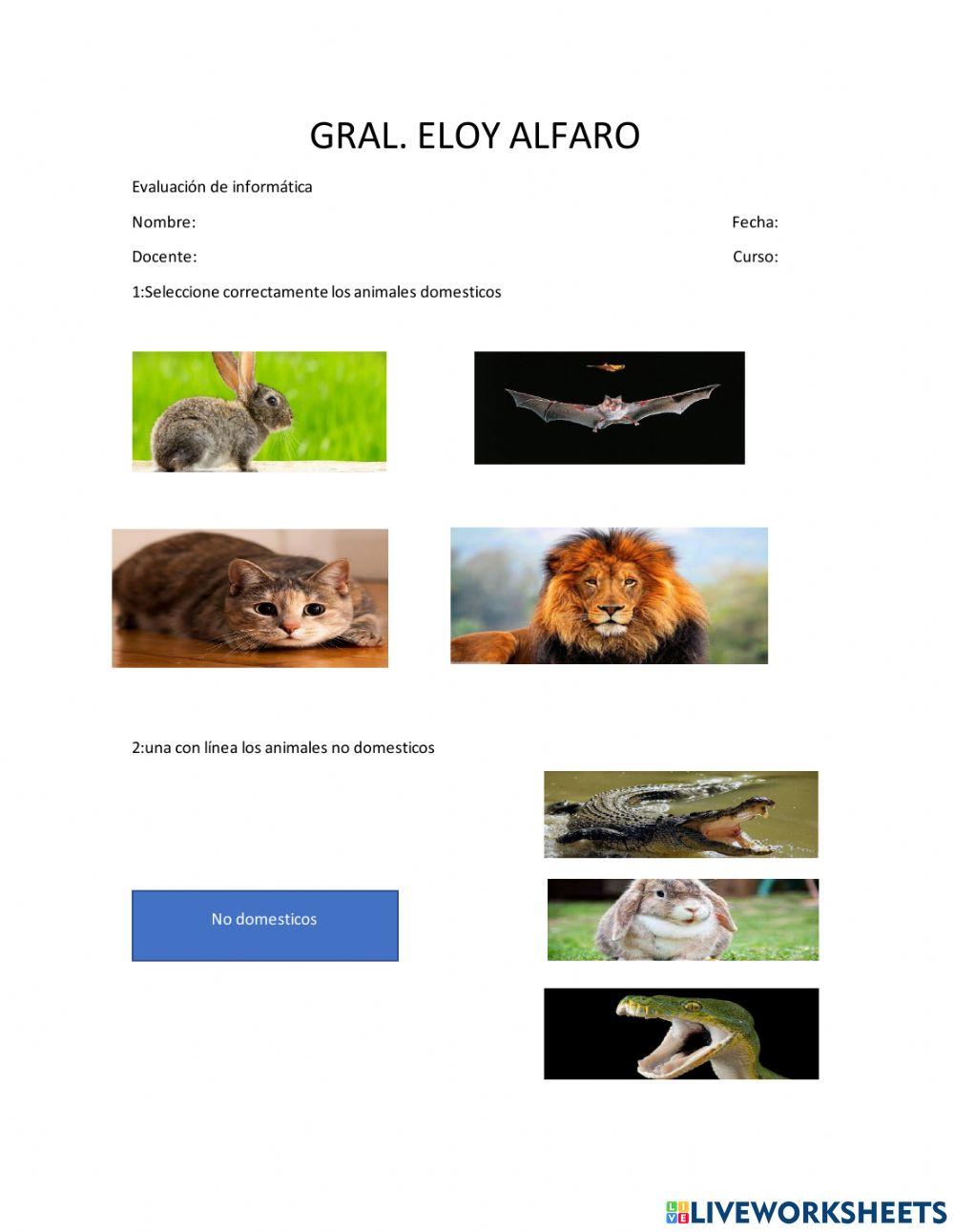 Examen de informatica