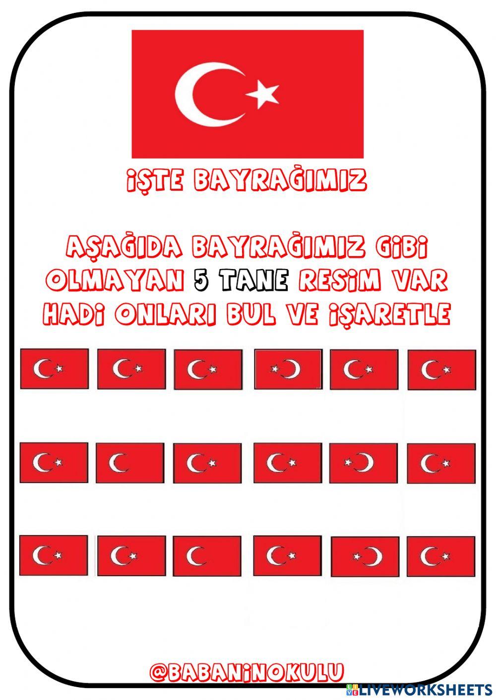 ÇANAKKALE ZAFERİ