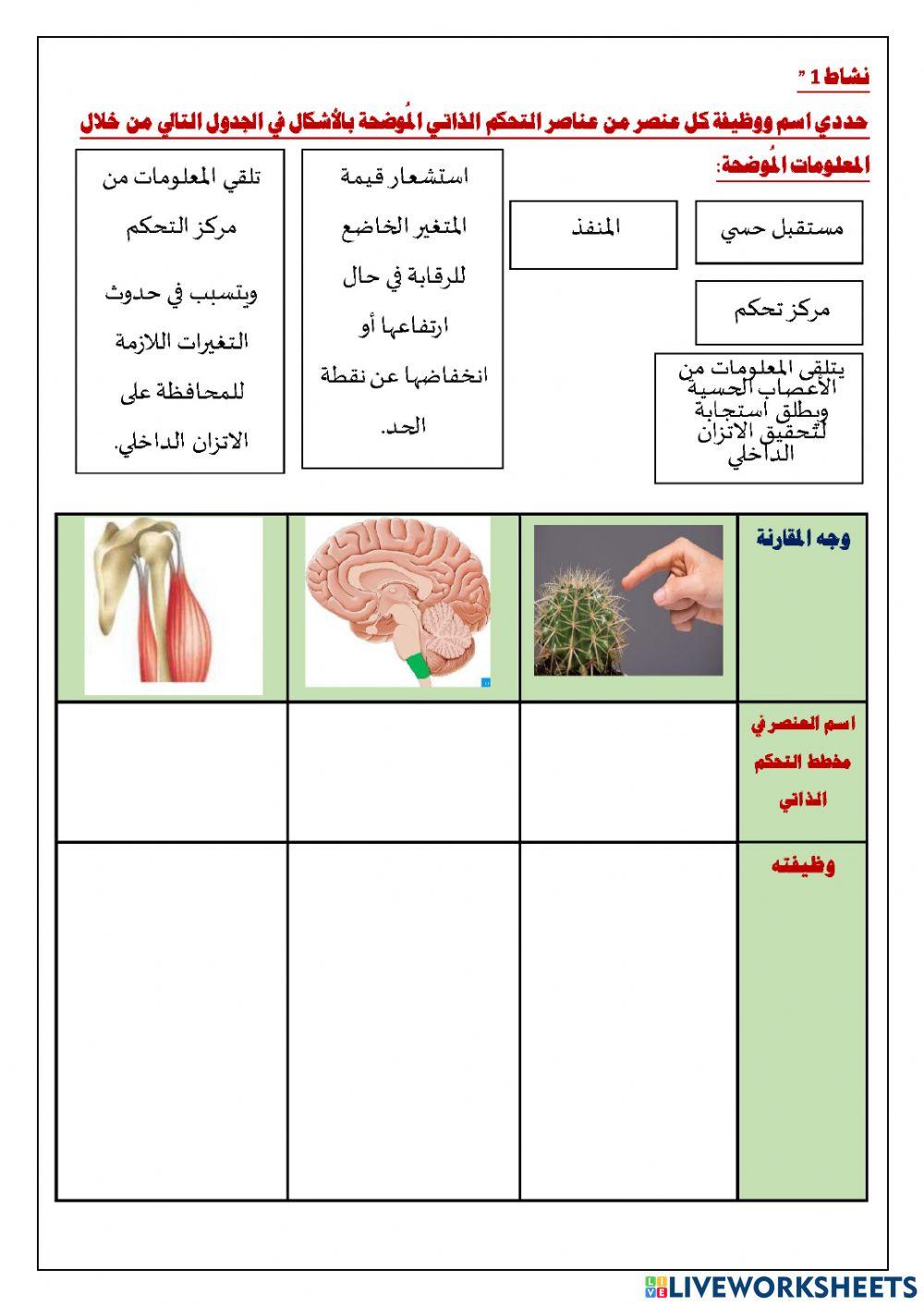 نشاط -عناصر التحكم الذاتي و استجابة الجسم في حالة ارتفاع ضغط الدم