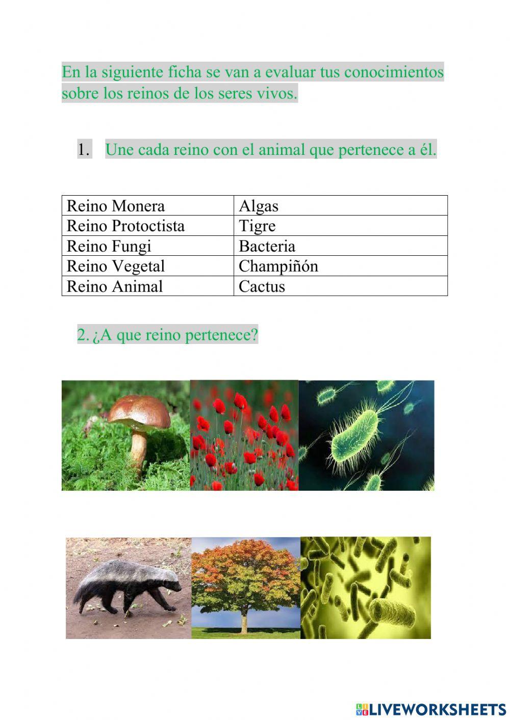 Ficha TIC Animales