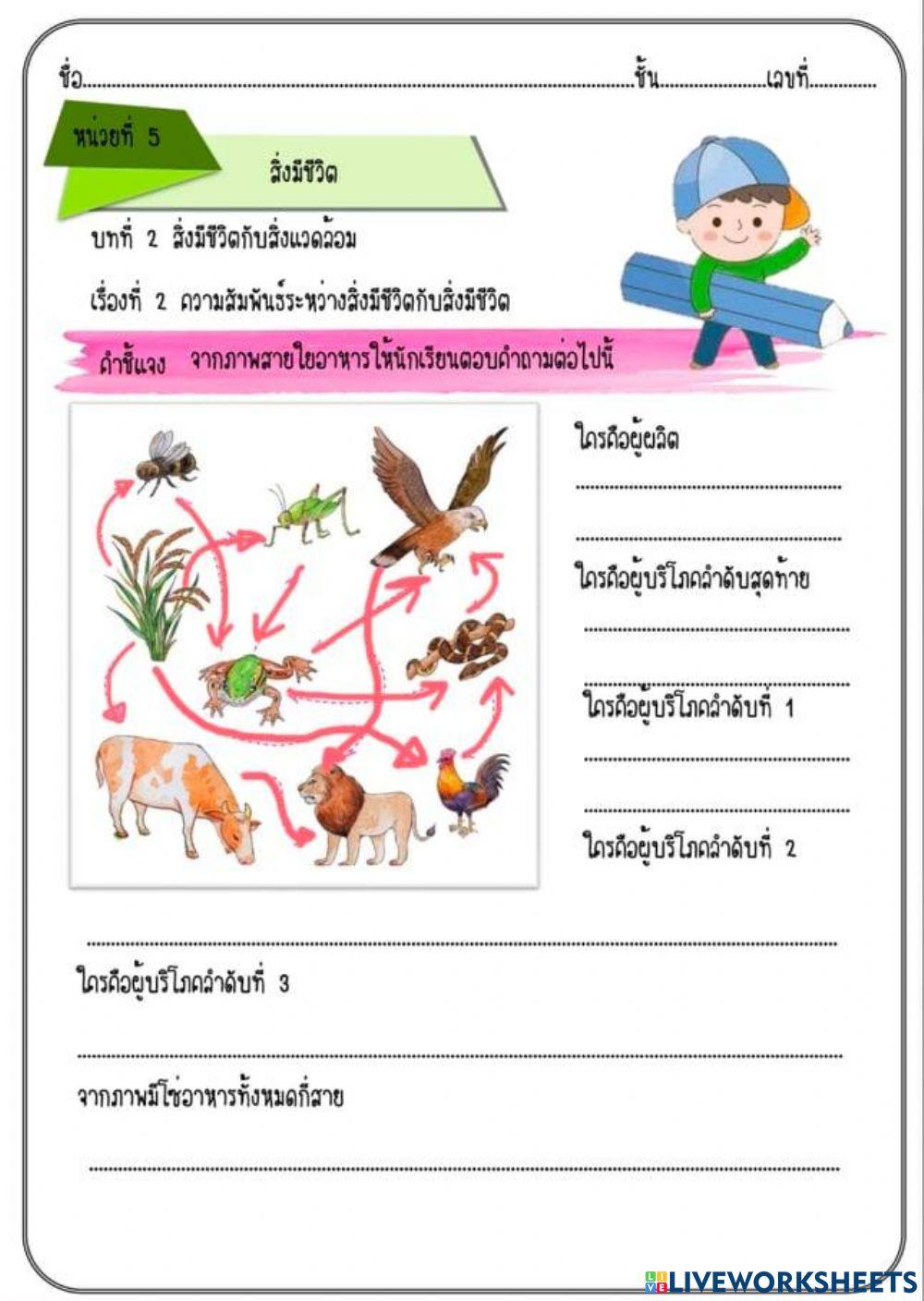 สายใยอาหาร