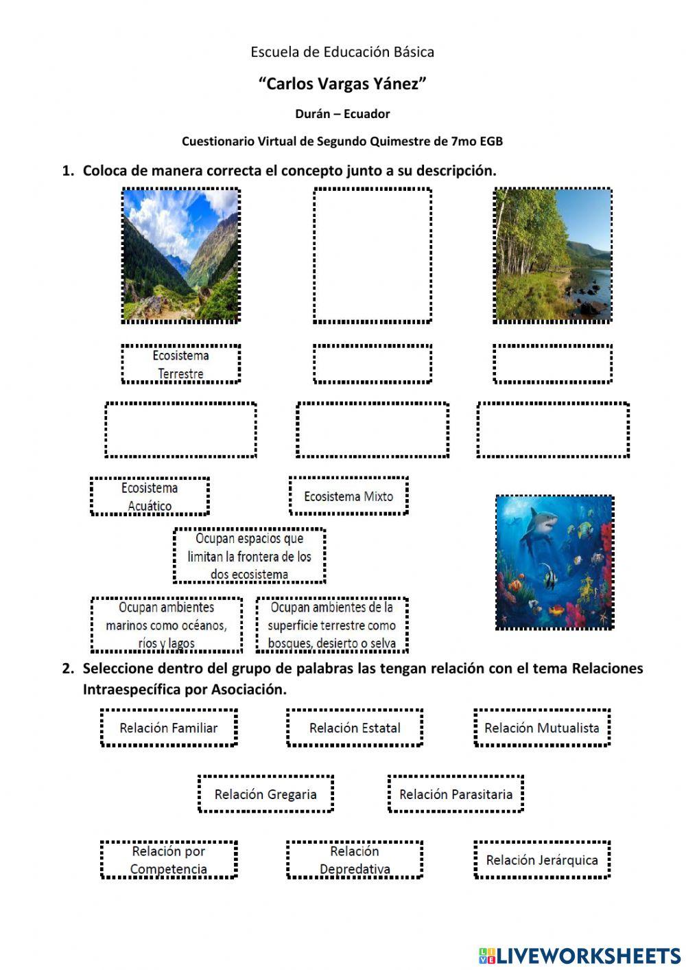 Examen 7mo Virtual 2do Quim