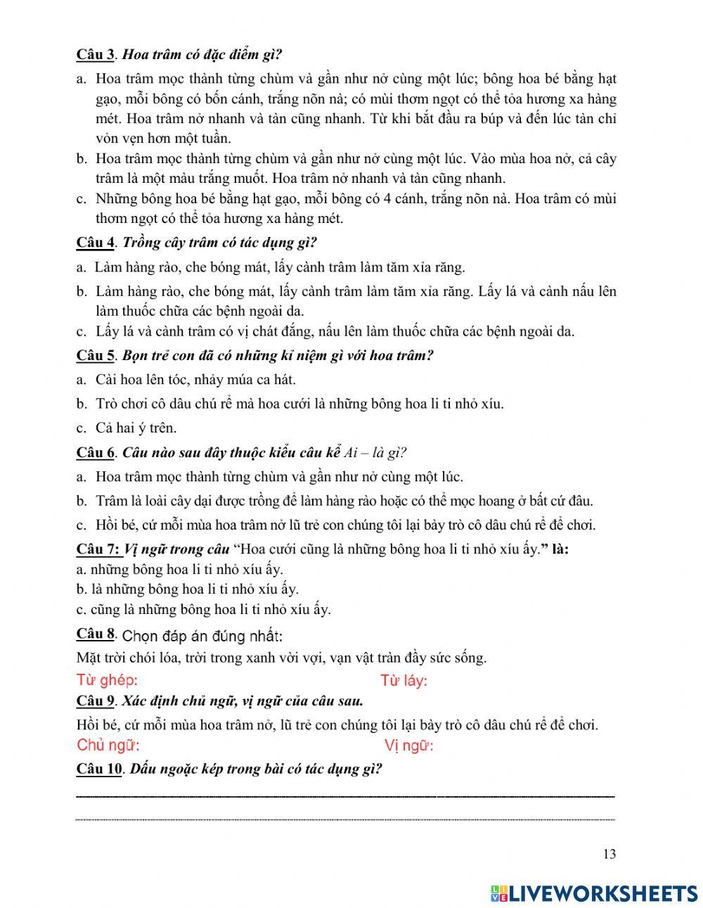 BTCT Tiếng Việt tuần 24