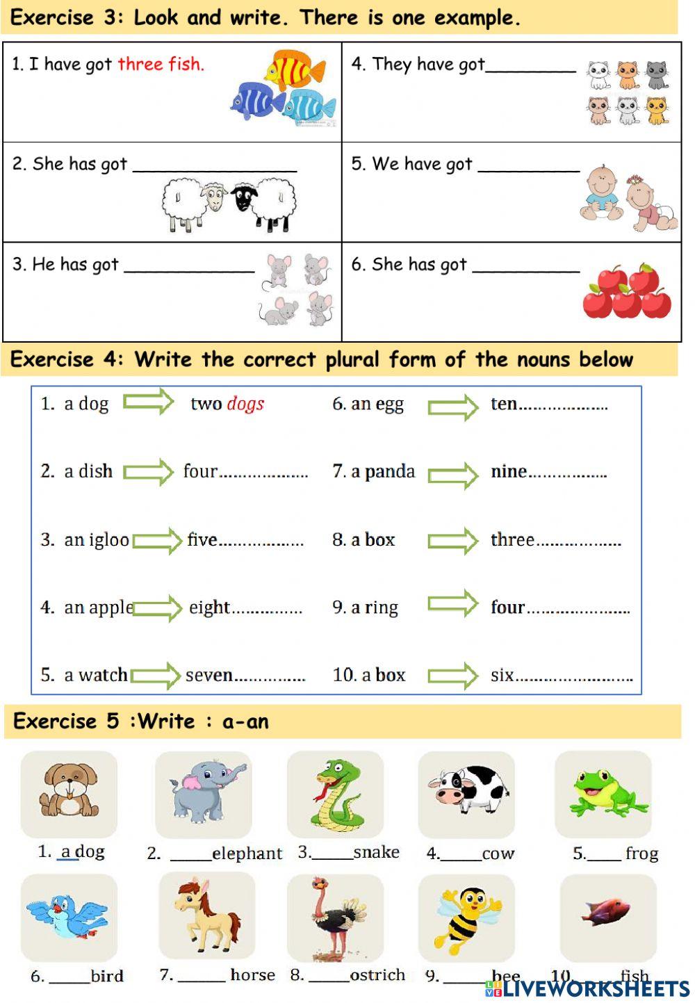 Starters- Family and friends- lesson 3