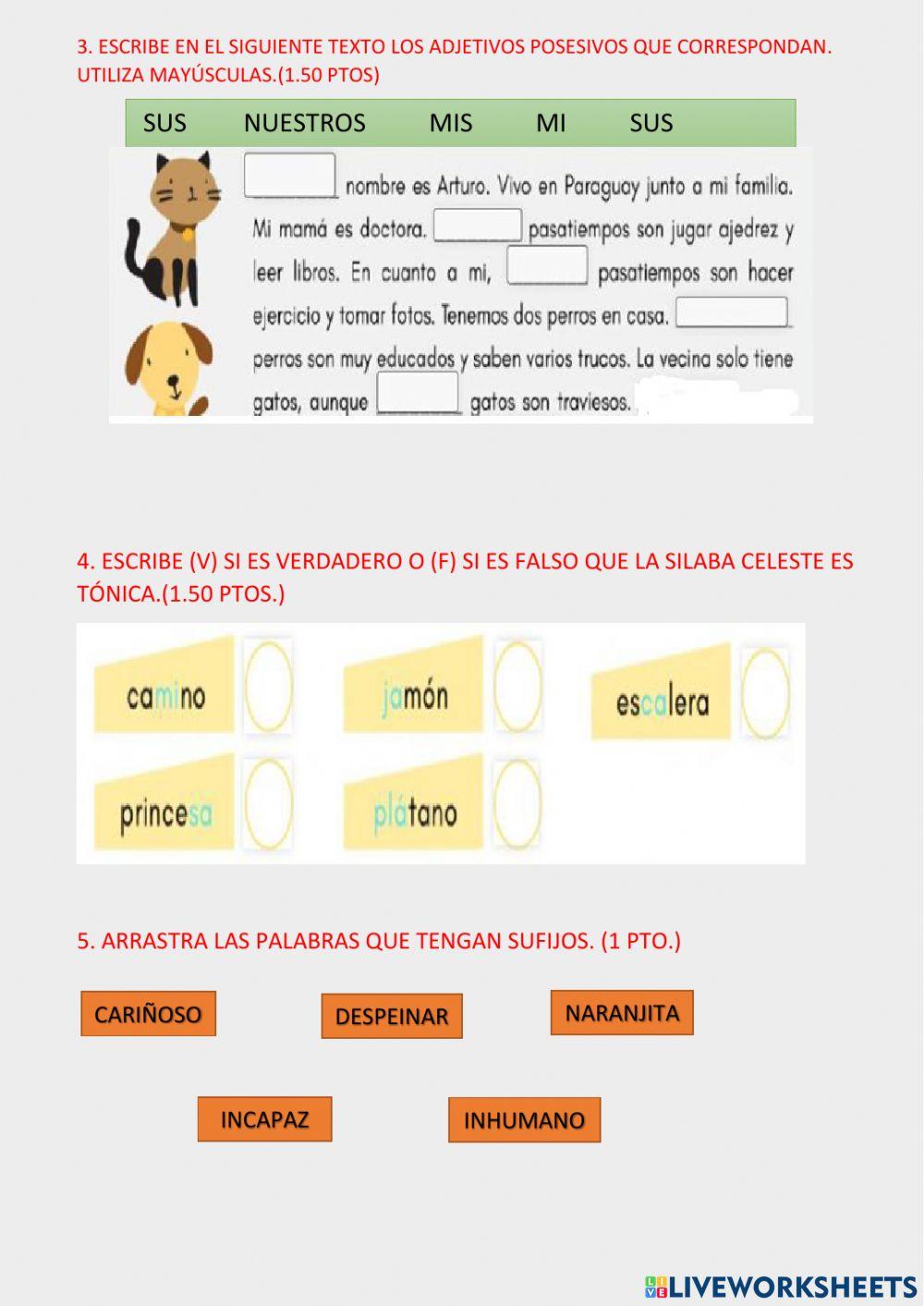 Evaluación sumativa